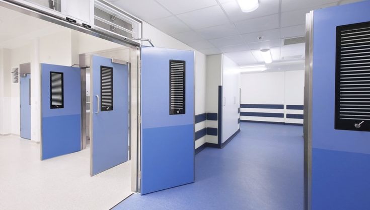 Clean Room Doors